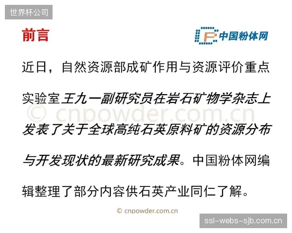 全球顶级打击手套的生产，过度集中于澳大利亚的袋鼠皮原料供应，这种单一依赖在地缘政治与气候变化面前显得异常脆弱